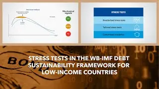 Stress Tests in the WB-IMF LIC DSF