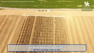 Испытания сортов зерновых культур
