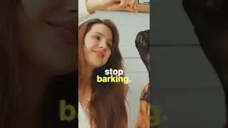 Stop Dog Barking Tips