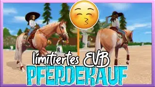 Sandy ist 1️⃣2️⃣ Minuten hysterisch 🤪 und KAUFT ein PFERD 🐴✅ SSO