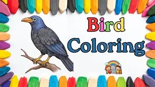 Beautiful Feather Bird Coloring 🎨🪶