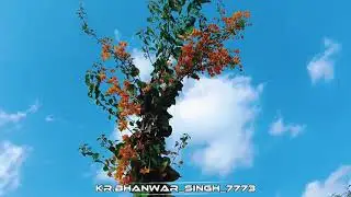 my FAST VLOGS #trending #viral #flowers #funny #garden #gardening #viralshorts #vlog #viral #india 