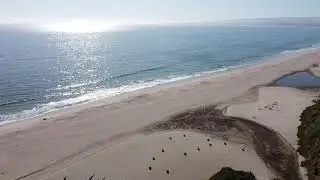 Seascape Beach