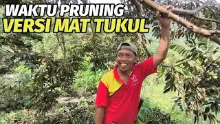 Waktu pruning yang tepat menurut Mat Tukul