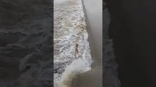 awesome power of the low head dam