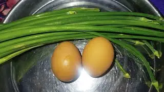 মাত্র দুটো ডিম দিয়ে পেঁয়াজ পাতার দুর্দান্ত রেসিপি। এই রেসিপি থাকলে মাছ মাংসের স্বাদ কে হার মানাবে।