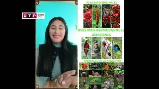 Avance de Portafolio 1_ ROJAS FLORES AARON ROY