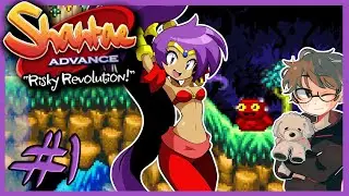Lost Relics! | Shantae: Risky Revolution #1