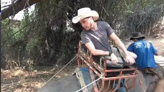 KONG RIDES AN ELEPHANT AND FREAKS OUT!