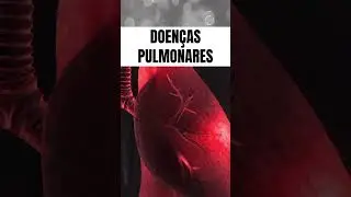 Hipocratismo Digital