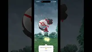 First #yveltal #raid! #criticalcatch #pokemongo #shinyhunt #baconbird #legendary #casualgamer