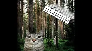 skinwalker game and morons