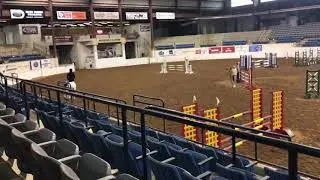 Harley- Virginia Horse Trials, Training Level