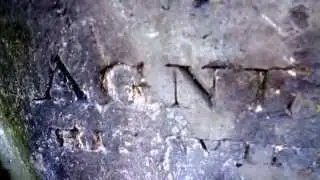Shirlaw Ancestry, Paisley