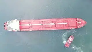 Ag Around the World: Ukraine Grain Exports Significantly Higher