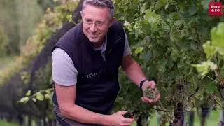 WEIN & CO zu Gast bei: Weingut Erwin Sabathi