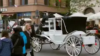 Marzenia uskrzydlają duszę (Dobra energia w muzyce) nowość 2026