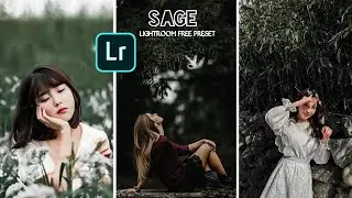 Sage preset/Lightroom photo editing/how to edit photo in LR/free preset DNG download/Preset lr
