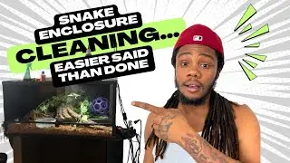Cleaning Day for My Snake, Big Worm 