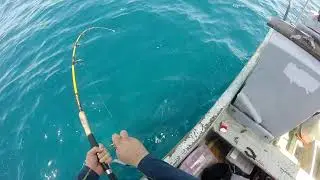 PESCA MORON TAMPS 2017