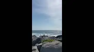 Sachuest Point National Wildlife Refuge/Nature Walk