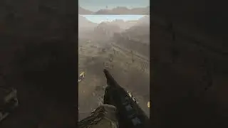 When did they add flying to the game? #falloutnewvegasmemes #gamingbug #gaming