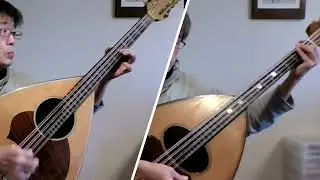 糸（Mandolone Duo)　中島 みゆき/向折戸 秀