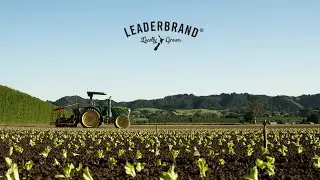 LeaderBrand Manifesto Video