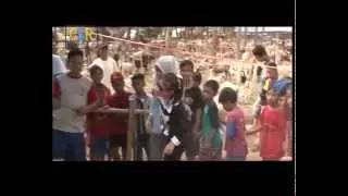 C&R Digital - Prilly Qurban Sapi