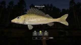 RF4 Tip for crafting and Donets Ruffe Spot  / 18.07.2025