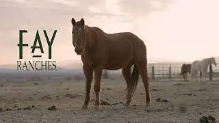 40 Acre Horse Training Property in Idaho - Presented by Renne Baker & Dixie  Barry with Fay Ranches