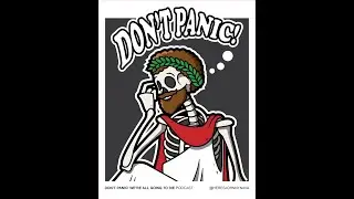 #06: There and Back Again with Vincent Nel - The Don't Panic Podcast