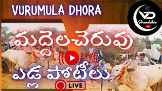 మద్దెల చెరువు ఎద్దుల పందేలు | VURUMULA DHORA ⚡⚡ is live! | 2025 | #maddhelacheruvu #Bullsrace #live