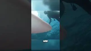 Это существо передвигается, какая вода?! 🚀