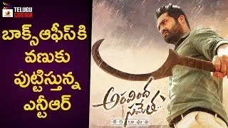Aravindha Sametha RECORD COLLECTIONS | Jr NTR | Pooja Hegde | Trivikram | Mango Telugu Cinema