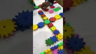 Kids new toy for brain development # patna #expo2022