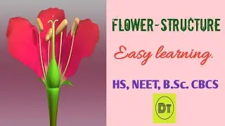 Structure of a complete flower