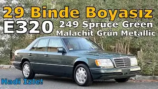 MERCEDES-BENZ W124 COLOR CATALOG 249 SPRUCE GREEN