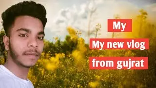 How To My New Vlog #Bittu padwar Vlog Video #Bittu Blogger #Vlog Video  