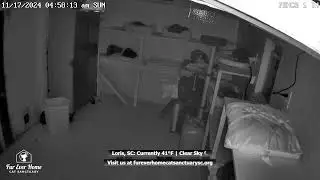 Fur Ever Home Cat Sanctuary Live Stream