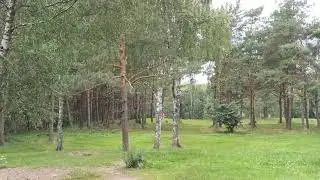 tali helsinki disc golf frisbee kyle klein thomas gilbert 2023