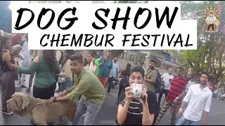 Dogs festival in Mumbai - Chembur Festival 2020 - Dog Show