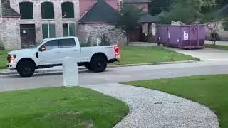 Someone's illegal pet tiger got loose in a Houston neighborhood 😱