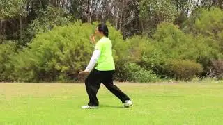 Perth Tai Chi Academy: Tai Chi for Arthritis 2 (TCA 2) back demo