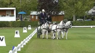 CAMPBELL Roger, GBR, FEI  WCH P 1,2,4, Dressage Po4, 27 09 2019