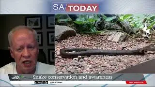 SA Snakebite Season | Snake conservation and awareness