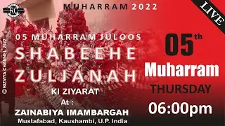 🔴Live | 5 Muharram Juloos | Mustafabad Azadari 2022 | Mustafabad Kaushambi | Rizviya Channel