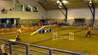 Bryce Sunday Novice Standard - Altoona Area Kennel Club Agility Trial