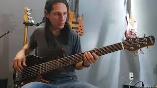 Baixo Tagima Milenium 6 #tagima #baixotagima #contrabaixo #bassguitar