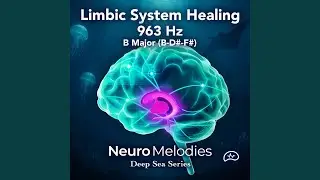 Limbic System Healing with 963Hz Frequency & B Major Chords | Deep Sea Series
